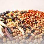 What are the 15 types of beans